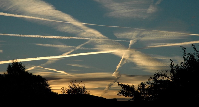 OpenContrail OpenContrail