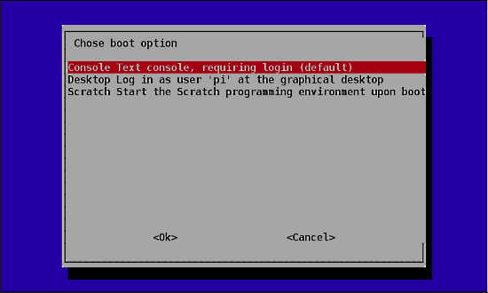 Choose boot option Choose boot option