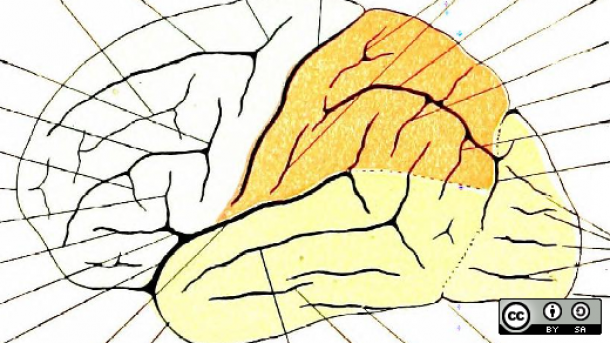 5 big ways AI is rapidly invading our lives 5 big ways AI is rapidly invading our lives