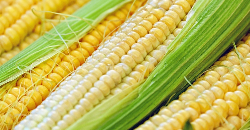 unikernels unikernels