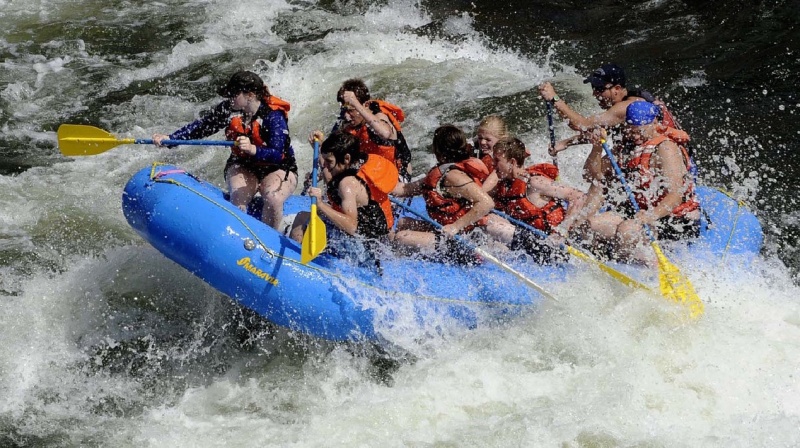 software vulnerabilities software vulnerabilities