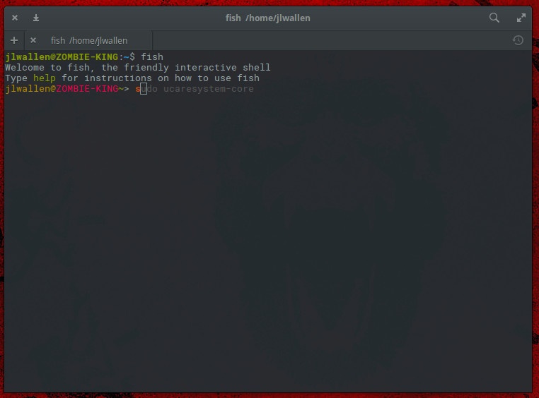 fish shell fish shell