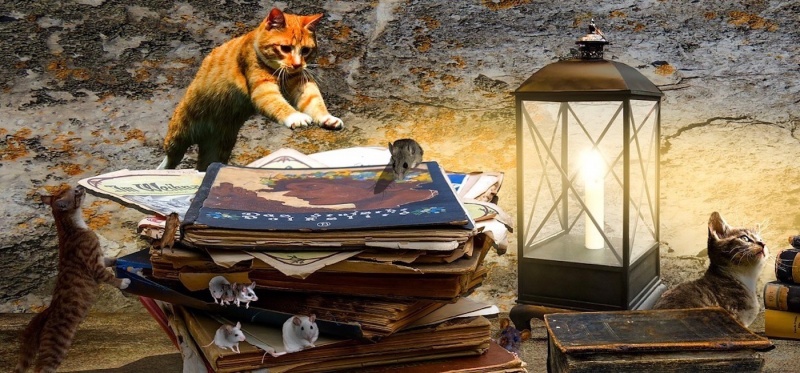 Linux graphics Linux graphics