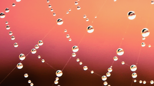 Getting to know the Django ORM Getting to know the Django ORM