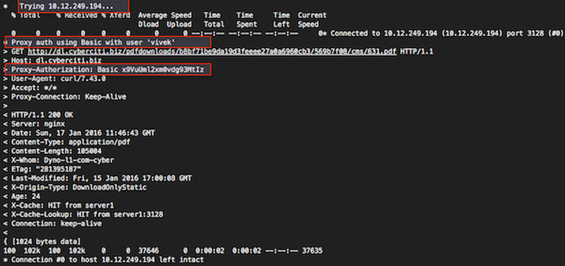 Fig.01:curl in action (click to enlarge)