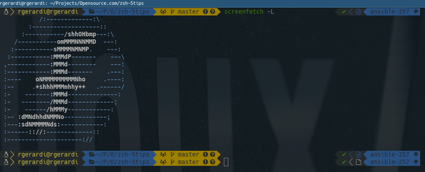 zsh Powerlevel9K theme zsh Powerlevel9K theme