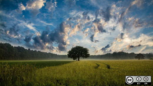 Tree clouds Tree clouds