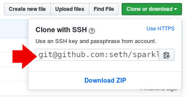 Cloning a URL on GitHub Cloning a URL on GitHub