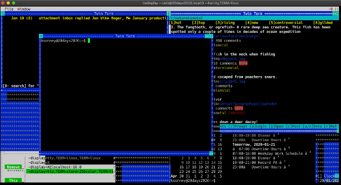 remote twin session remote twin session