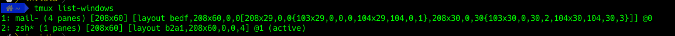 tmux layout information tmux layout information