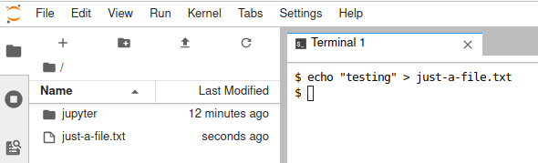 Terminal in Jupyter remote console Terminal in Jupyter remote console