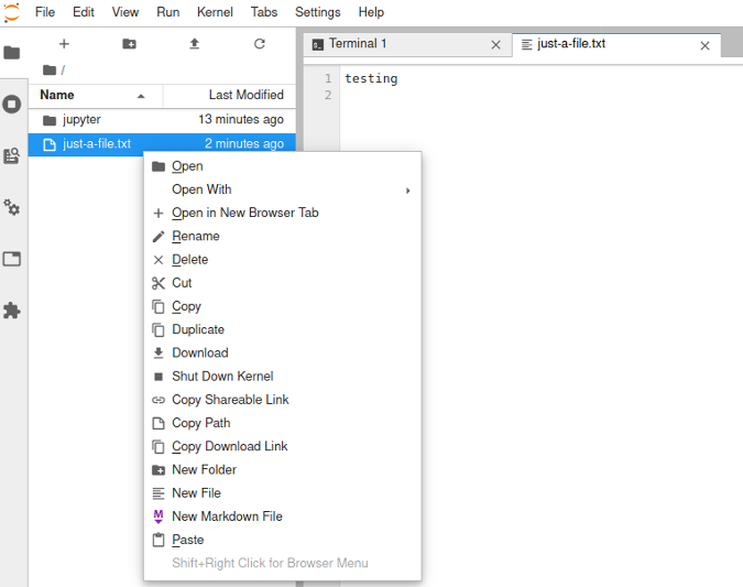 File options in Jupyter remote console File options in Jupyter remote console