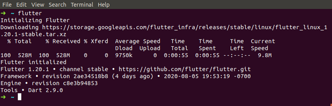 Flutter initialized Flutter initialized
