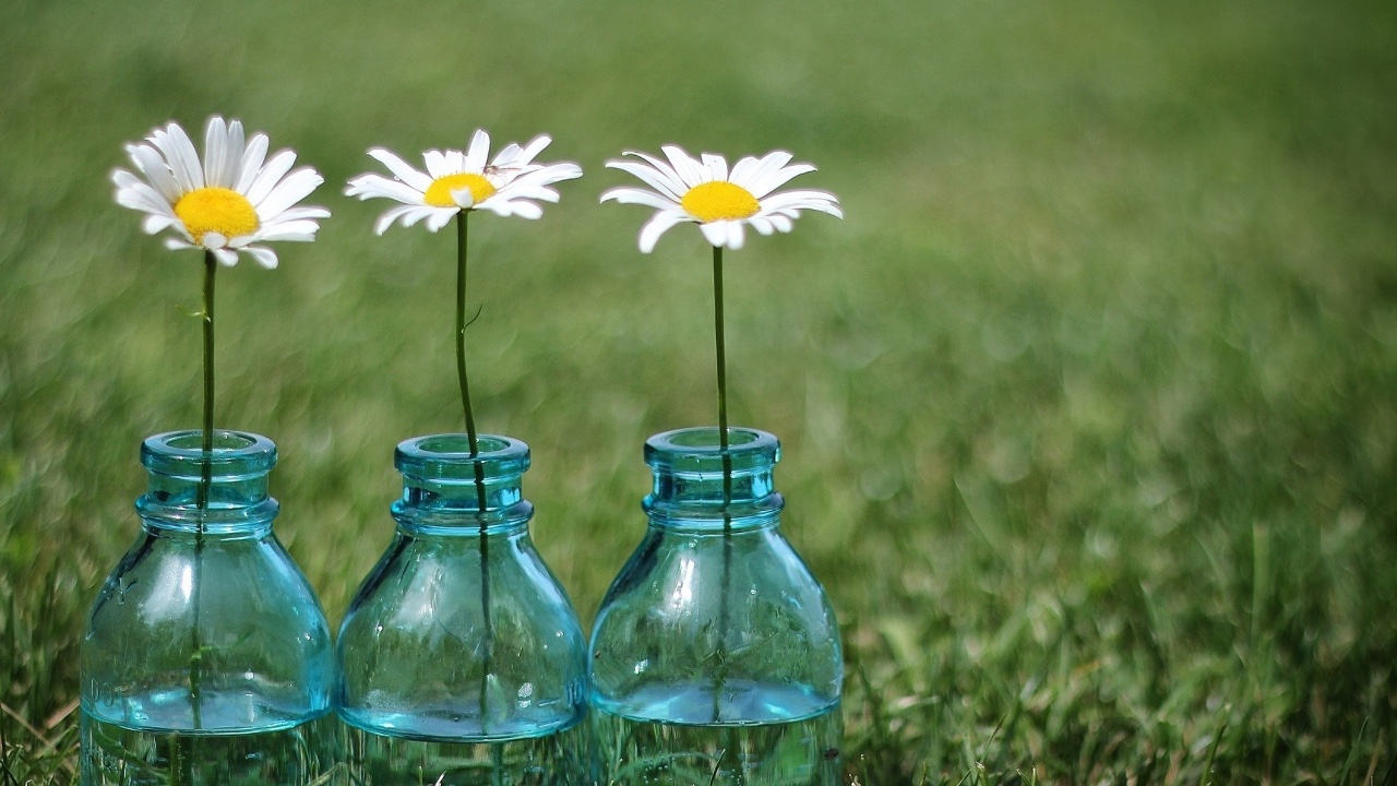 Jars with food inside on a shelf