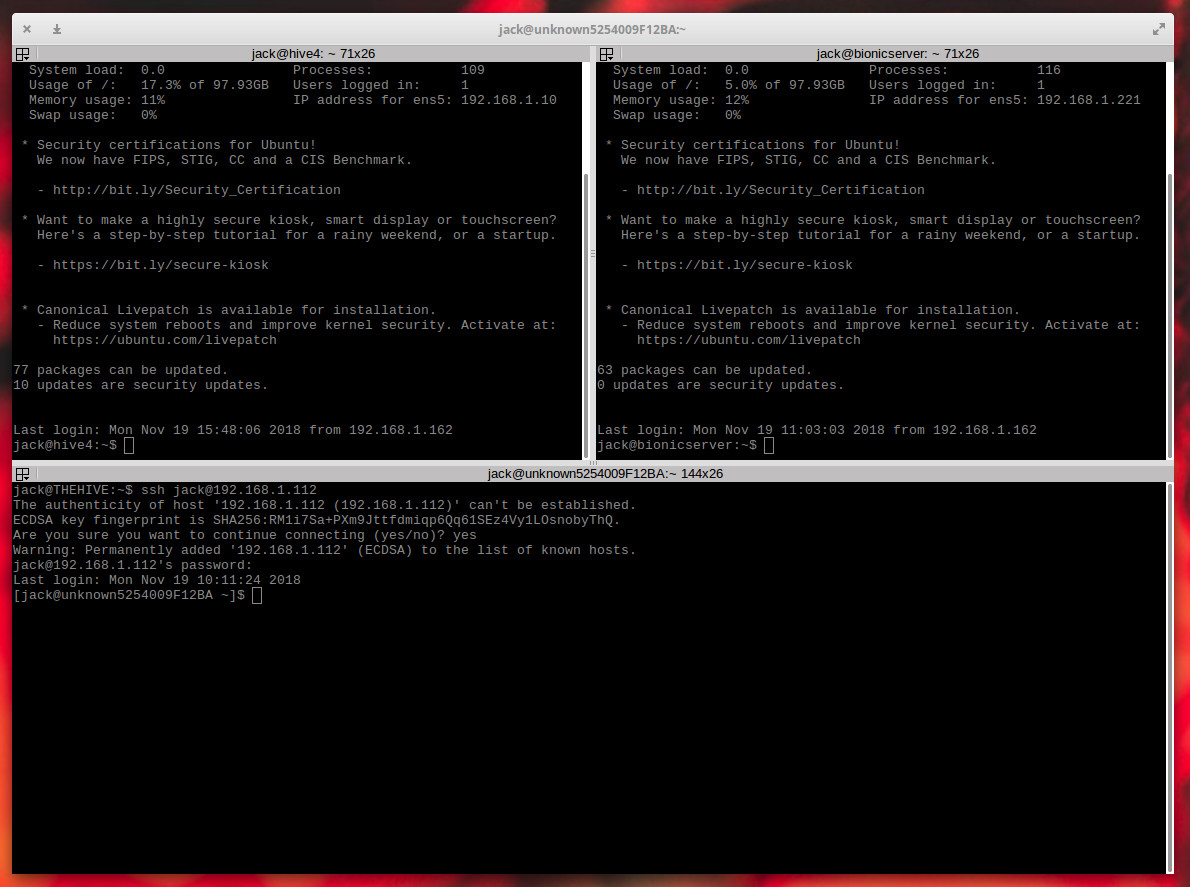 Terminator Terminator