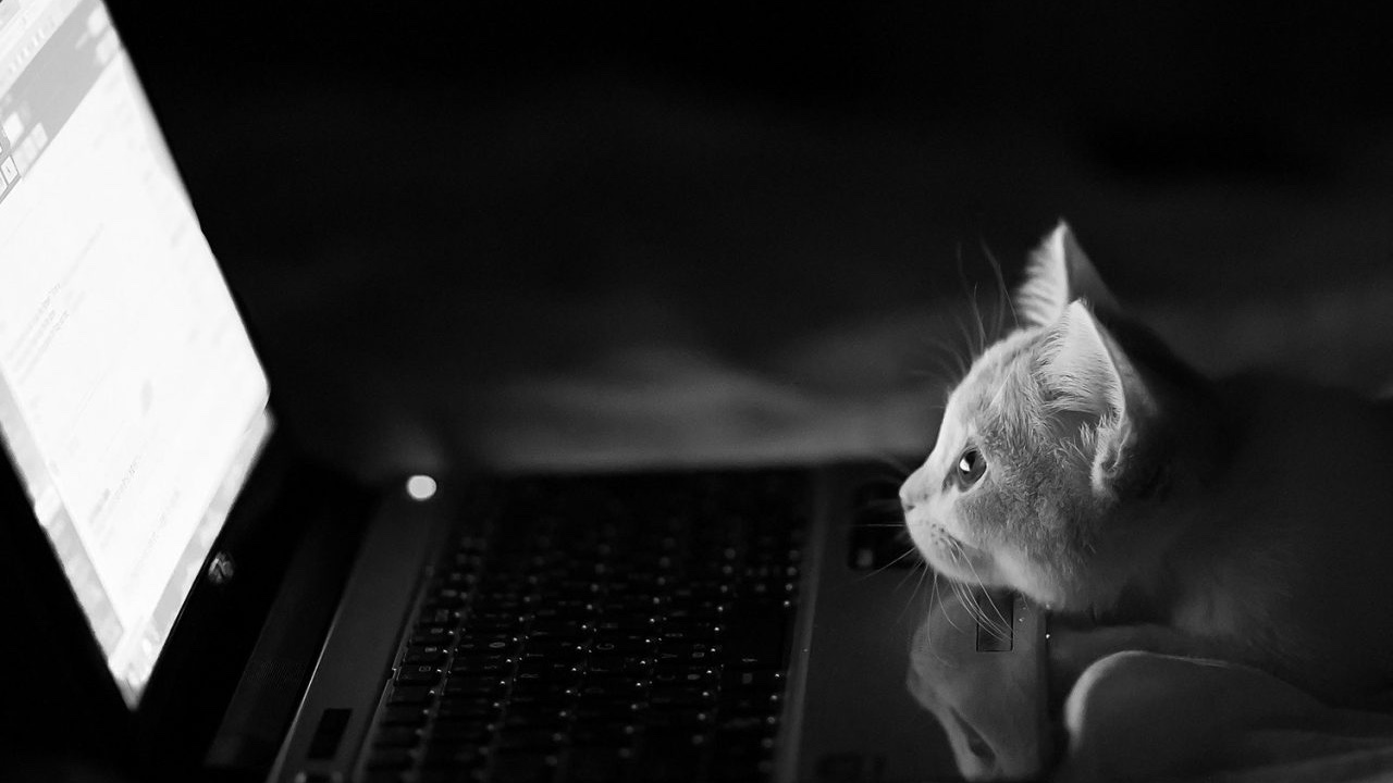 email or newsletters via inbox and browser