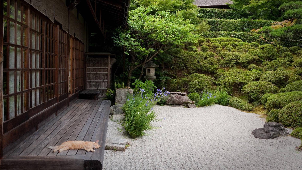 a checklist for a team