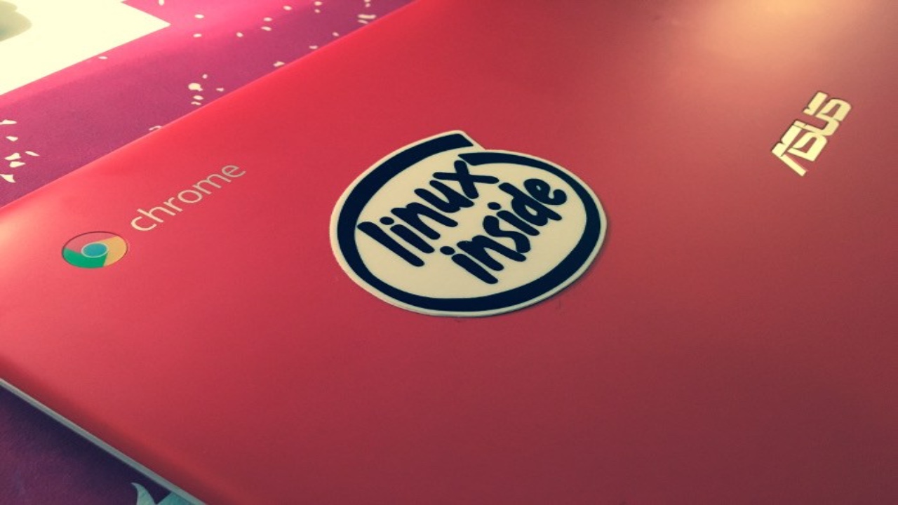 Working from home at a laptop