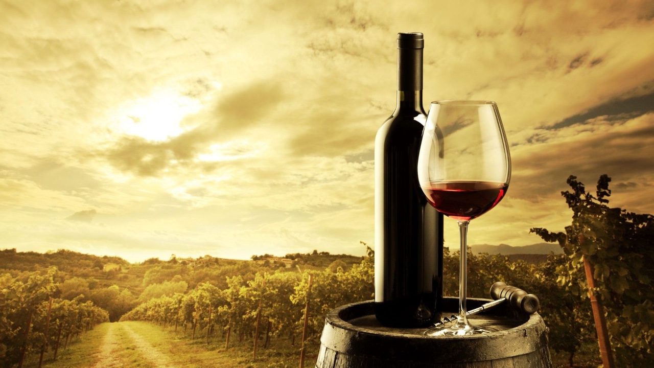 Computer screen with files or windows open