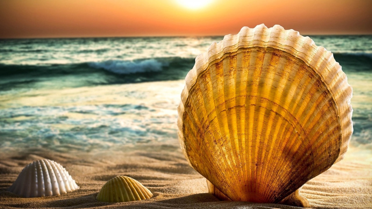 bash logo on green background