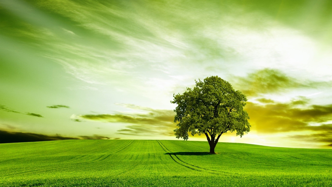 Science lab with beakers