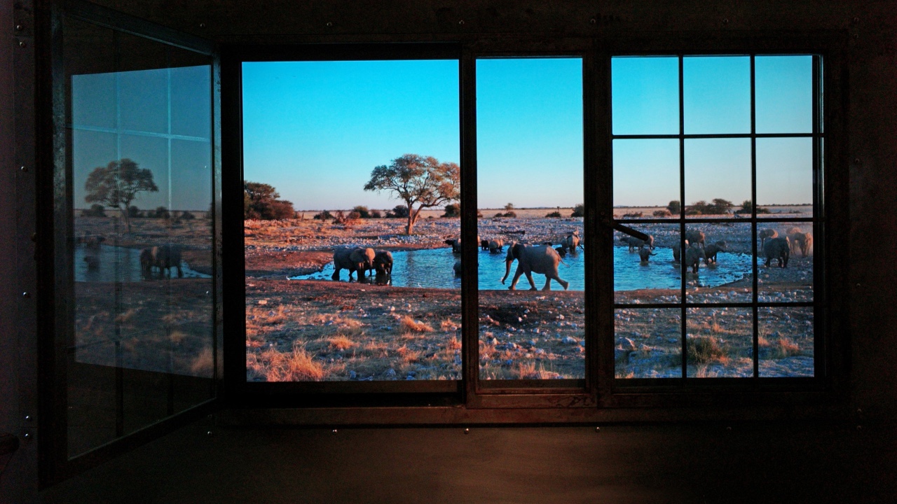 Tall building with windows