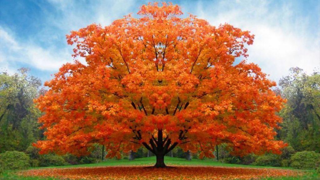 Computer screen with files or windows open