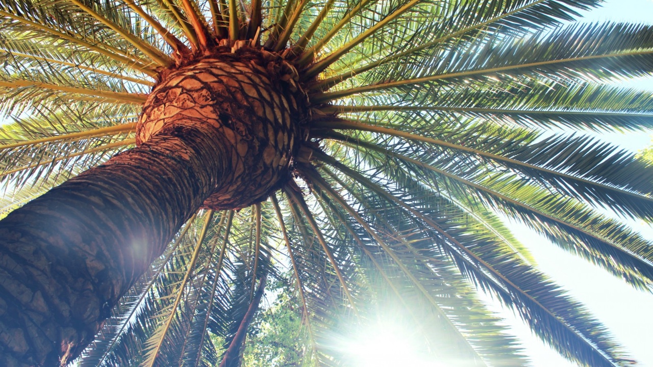 Filing cabinet for organization