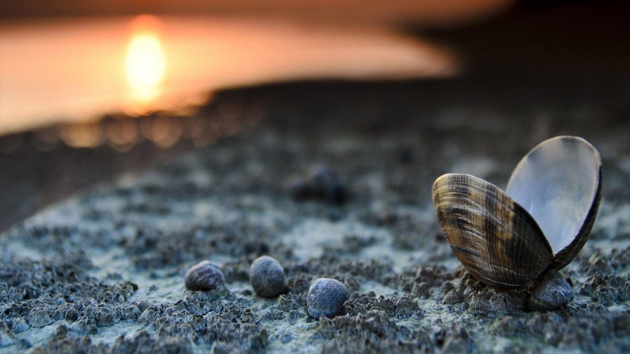 Puzzle pieces coming together to form a computer screen