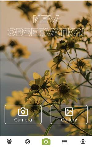 Pl@ntnet homescreen Pl@ntnet homescreen