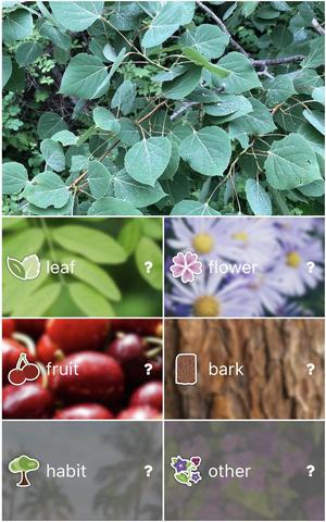 Selecting plant type to identify Selecting plant type to identify