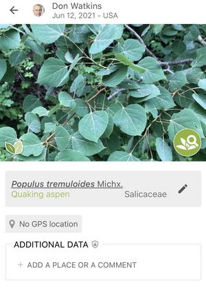 Identified plant Identified plant