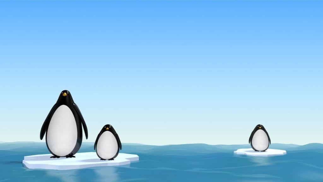 Terminal command prompt on orange background