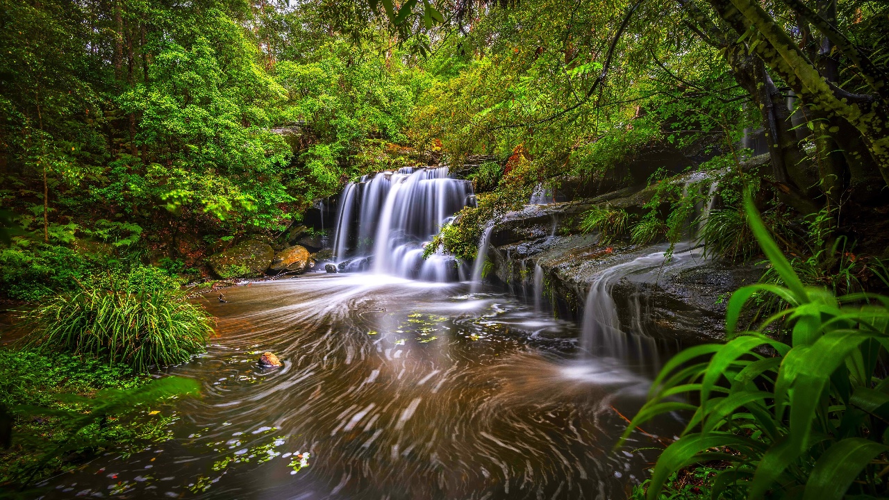 Hands on a keyboard with a Python book