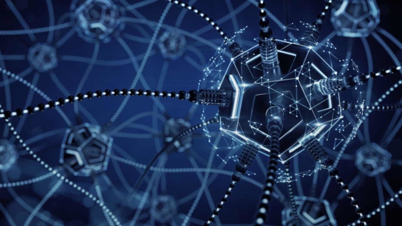 Brain on a computer screen