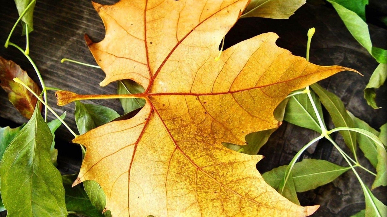 Hand putting a Linux file folder into a drawer