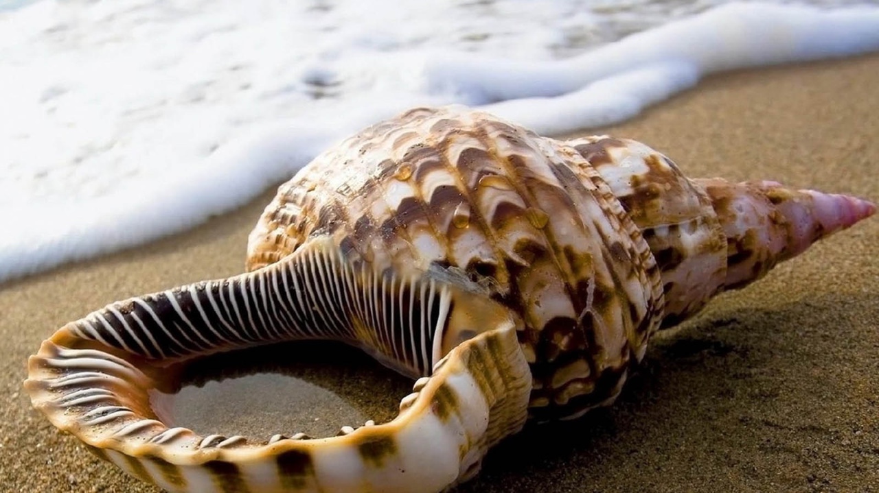 Penguin driving a car with a yellow background