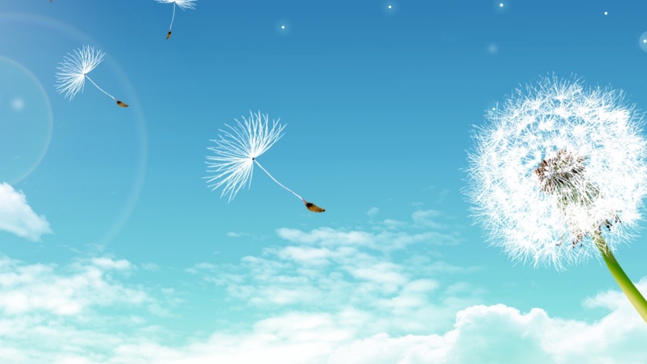 Digital creative of a browser on the internet