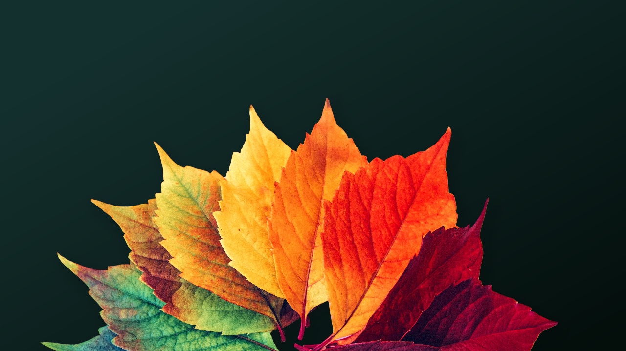 Woman sitting in front of her laptop