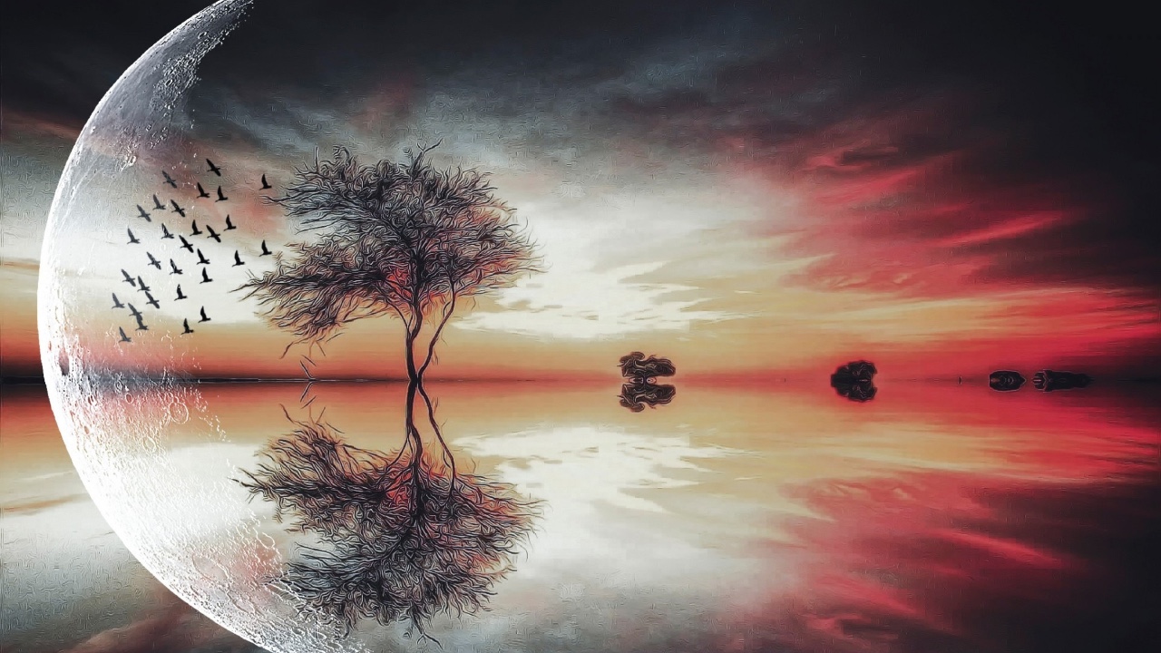 Digital creative of a browser on the internet