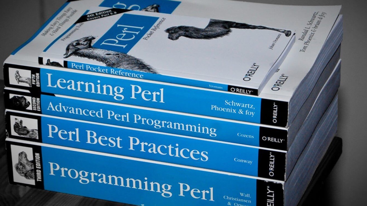 Woman sitting in front of her computer