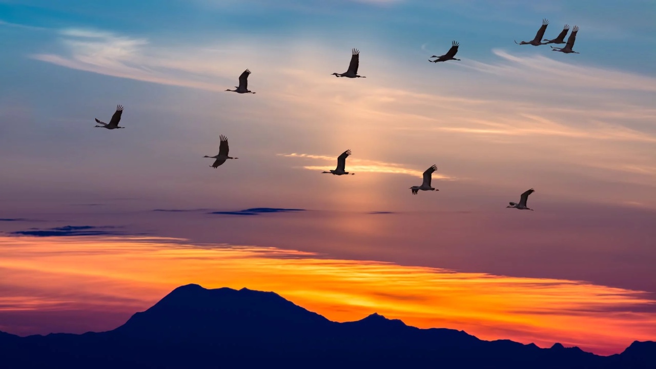 Text editor on a browser, in blue