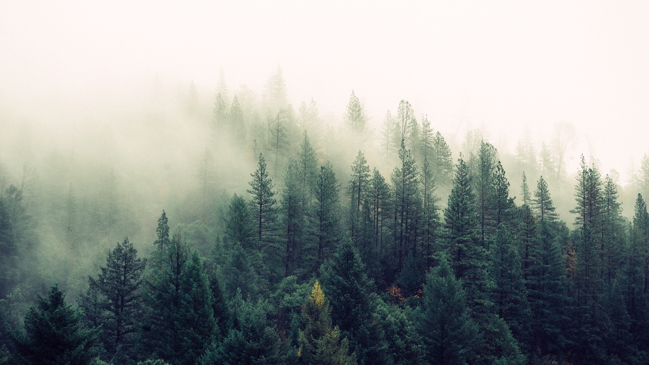 Man at laptop on a mountain
