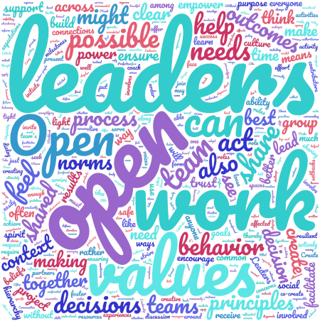 Open Leadership Definition word cloud Open Leadership Definition word cloud